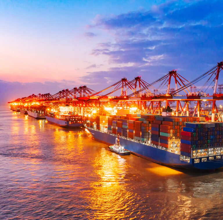 azienda_immagine_vision-768x758-es